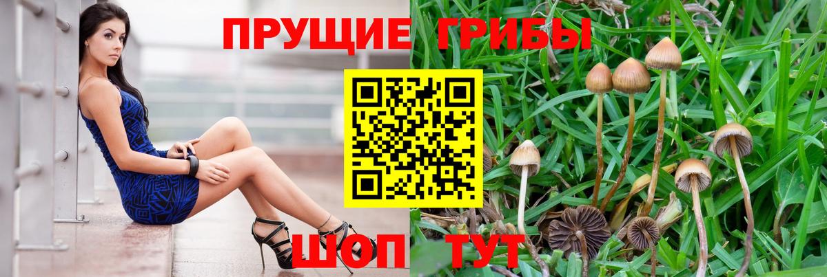 Котлас  Галлюциногенные грибы Cubensis  Галлюциногенные грибы Psilocybe  Вход с VPN 